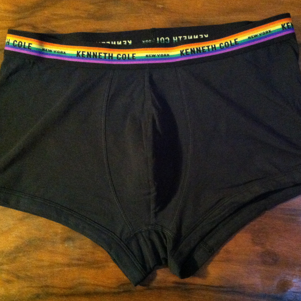 NWOT Pride Kenneth Cole Rainbow Boxer Brief (M)